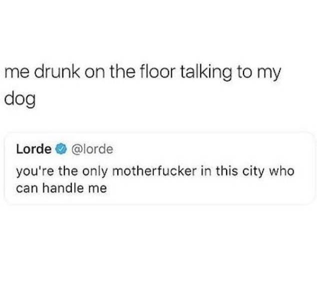 Drunk People Do So Many Stupid Things