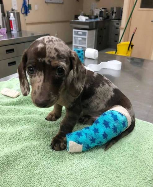 top 250 morning pics of the year 2019.html - 1 HD Photos | Premium Gallery 2019