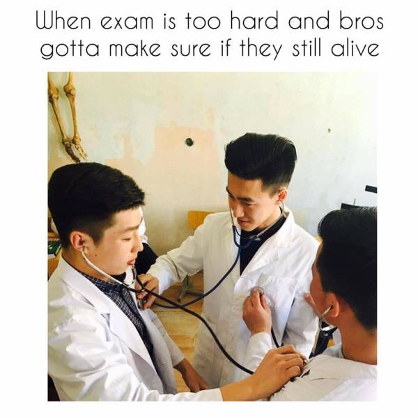 funny picdump 52 pics 12.html - 52 HD Photos | Premium Gallery 2019