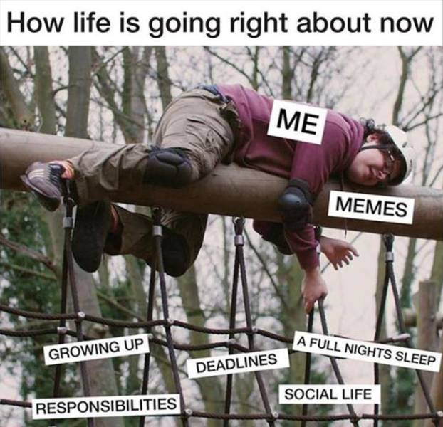 funny picdump 52 pics 12.html - 52 HD Photos | Premium Gallery 2019