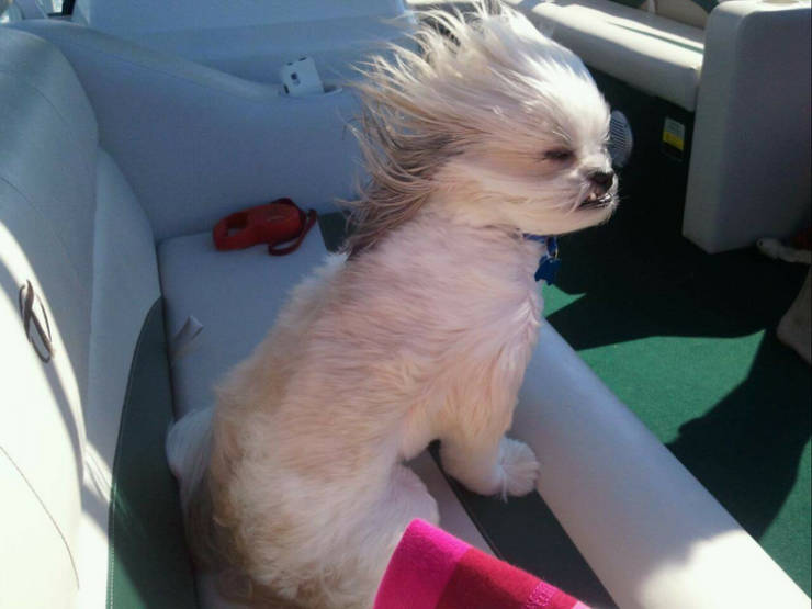 That First Time Is Always Magical