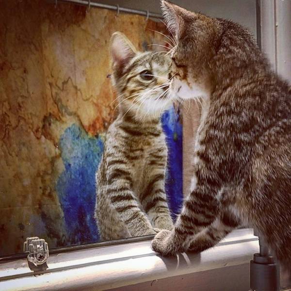 That First Time Is Always Magical