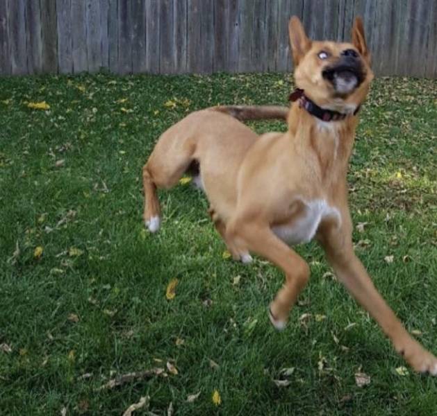 That First Time Is Always Magical