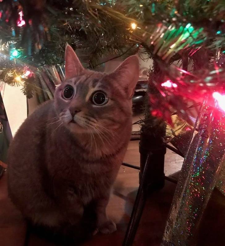 That First Time Is Always Magical