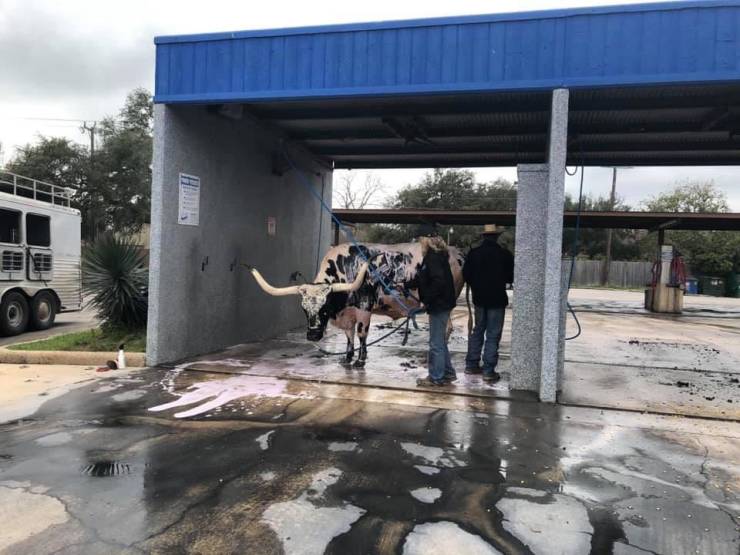 funny picdump 53 pics 12.html - 53 HD Photos | Premium Gallery 2019