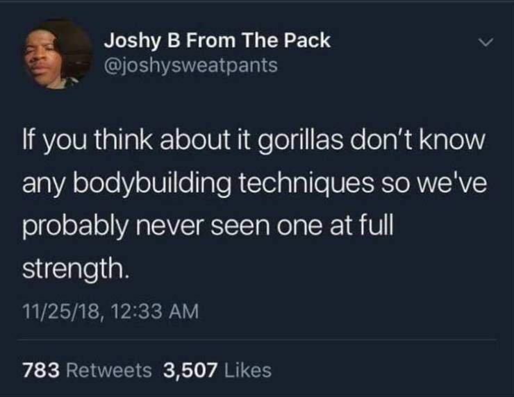 funny picdump 53 pics 12.html - 53 HD Photos | Premium Gallery 2019