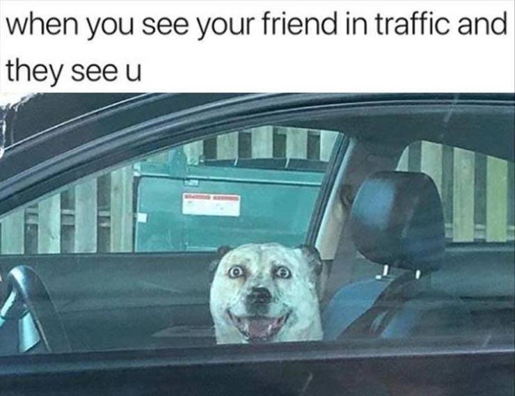 funny picdump 53 pics 12.html - 53 HD Photos | Premium Gallery 2019