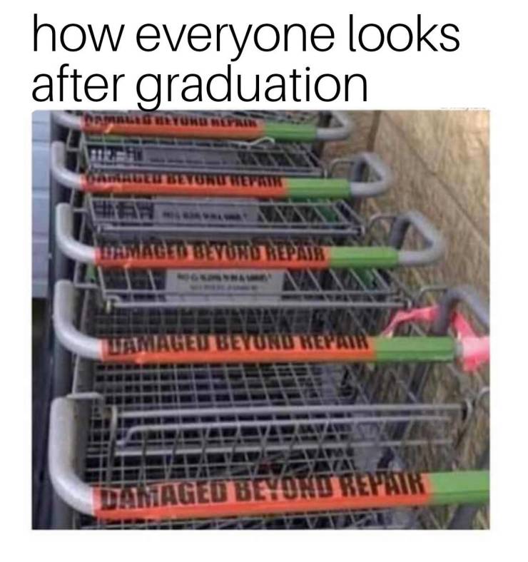 funny picdump 53 pics 12.html - 53 HD Photos | Premium Gallery 2019