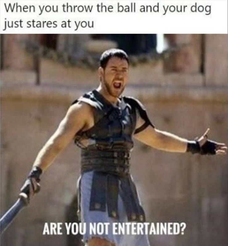 funny picdump 53 pics 12.html - 53 HD Photos | Premium Gallery 2019