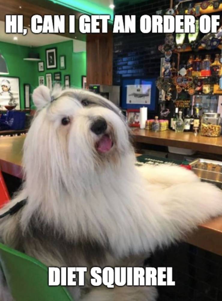 funny picdump 53 pics 12.html - 53 HD Photos | Premium Gallery 2019