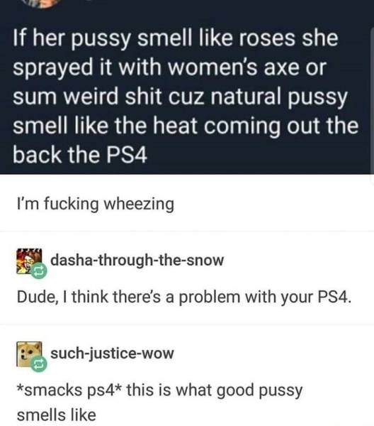 page,4,top 250 funny pics of the year 2019.html - 1 HD Photos | Premium Gallery 2019