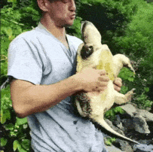 The Regret! THE REGRET!