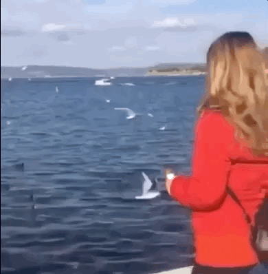 The Regret! THE REGRET!