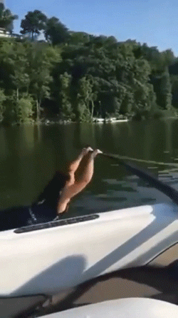 the regret the regret 30 gifs 5.html - 1 HD GIF | Premium Gallery 2019