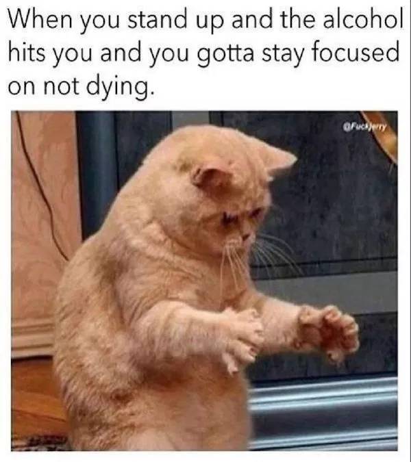 Diagnosis: Absolutely Wasted