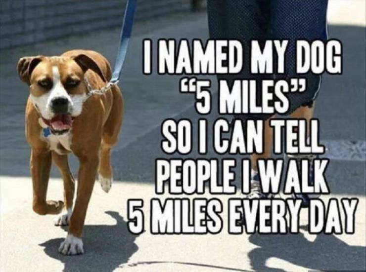 funny picdump 52 pics 7.html - 52 HD Photos | Premium Gallery 2019