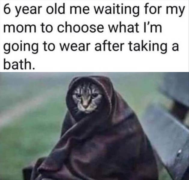 funny picdump 52 pics 7.html - 52 HD Photos | Premium Gallery 2019