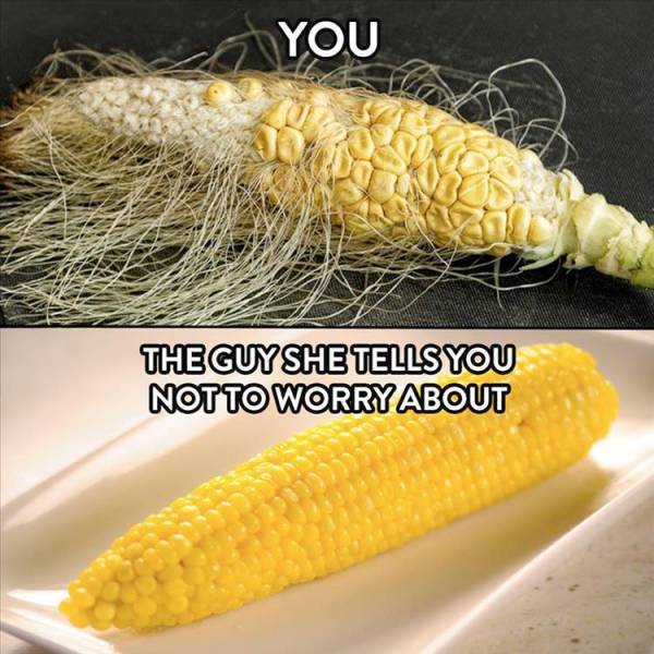 funny picdump 52 pics 7.html - 52 HD Photos | Premium Gallery 2019