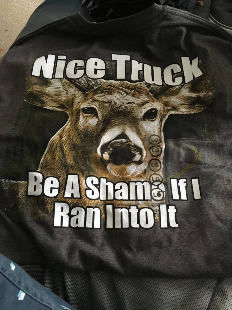 funny picdump 52 pics 7.html - 52 HD Photos | Premium Gallery 2019