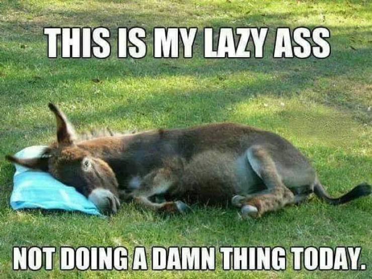 funny picdump 52 pics 2.html - 52 HD Photos | Premium Gallery 2019