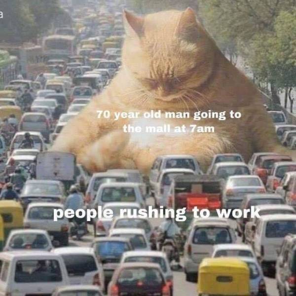 funny picdump 52 pics 2.html - 52 HD Photos | Premium Gallery 2019