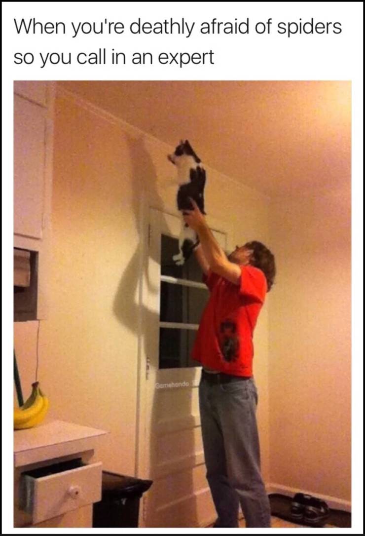 funny picdump 52 pics 2.html - 52 HD Photos | Premium Gallery 2019