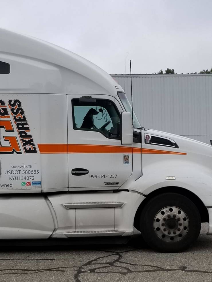 funny picdump 53 pics 16.html - 53 HD Photos | Premium Gallery 2019