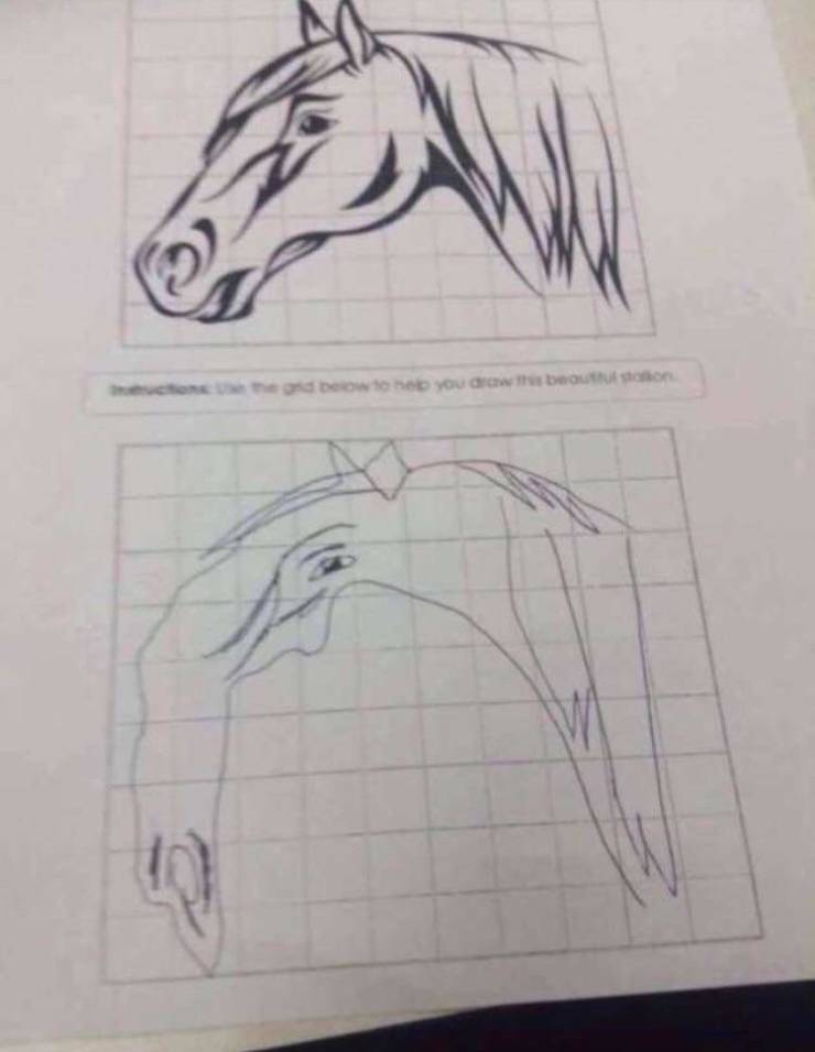 funny picdump 53 pics 16.html - 53 HD Photos | Premium Gallery 2019