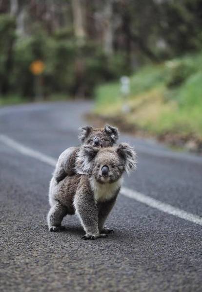 top 250 morning pics of the year 2019.html - 1 HD Photos | Premium Gallery 2019