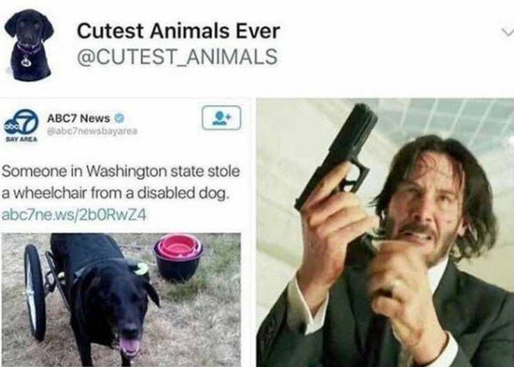 Jerks! Jerks Everywhere!