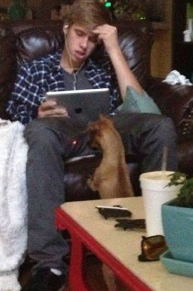 Jerks! Jerks Everywhere!