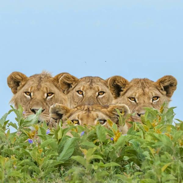 page,30,top 750 daily pics of the year 2019.html - 1 HD Photos | Premium Gallery 2019