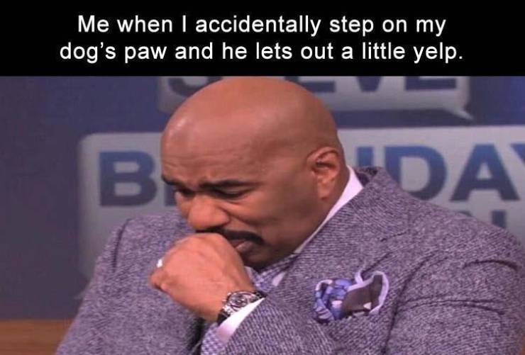 funny picdump 51 pics 4.html - 51 HD Photos | Premium Gallery 2019