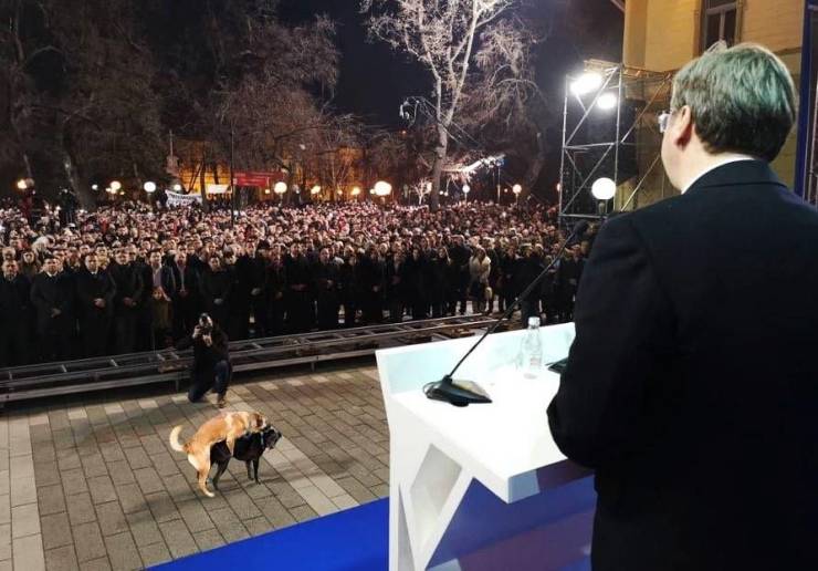 page,19,top 750 daily pics of the year 2019.html - 1 HD Photos | Premium Gallery 2019