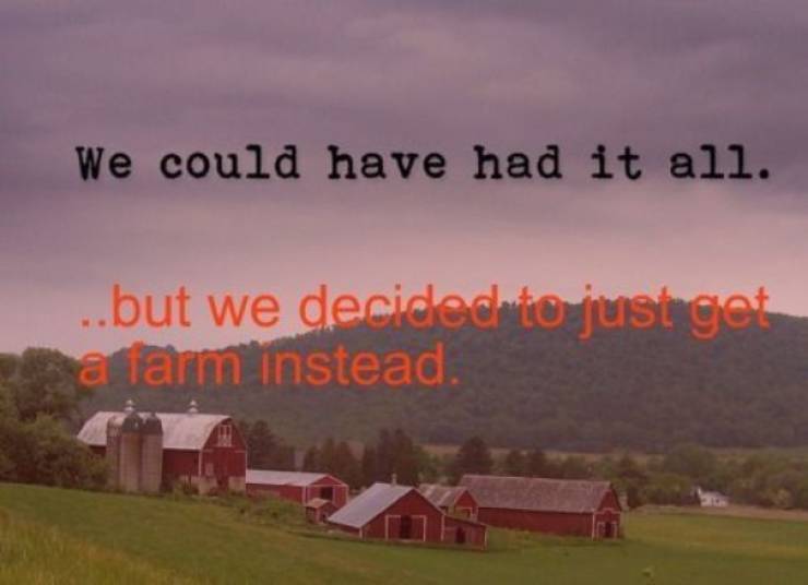 Hipster Captions Are Absolutely Asking For This!