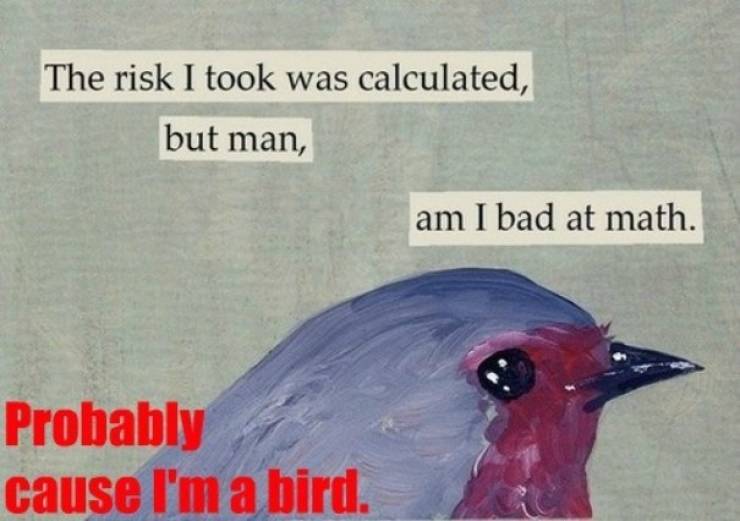 Hipster Captions Are Absolutely Asking For This!