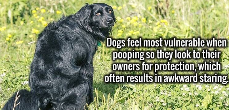 page,4,top 100 interesting pics of the year 2019.html - 1 HD Photos | Premium Gallery 2019