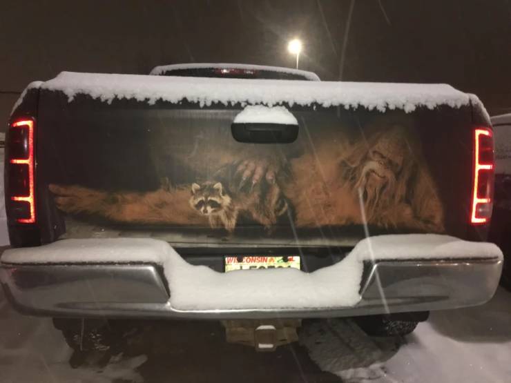 daily picdump weekend edition 50 pics 17.html - 50 HD Photos | Premium Gallery 2019