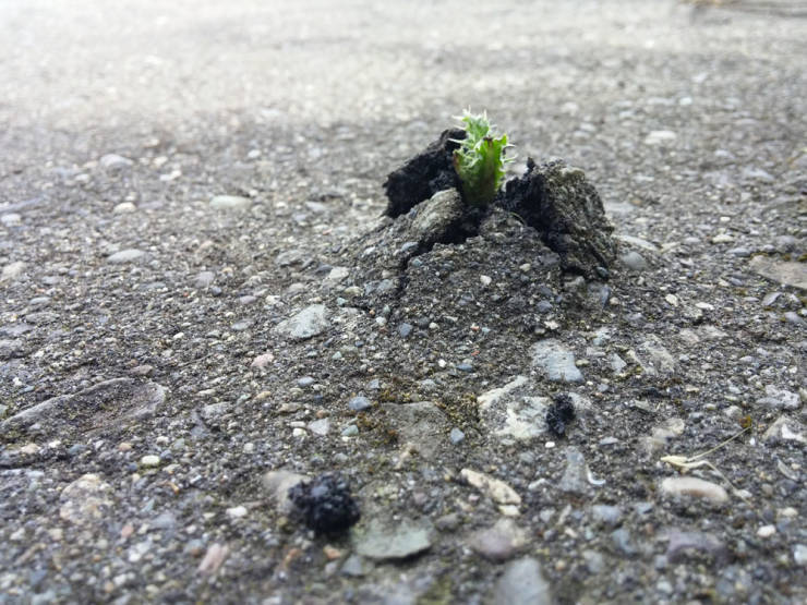 daily picdump weekend edition 50 pics 17.html - 50 HD Photos | Premium Gallery 2019