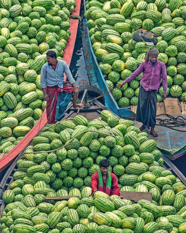 daily picdump weekend edition 50 pics 17.html - 50 HD Photos | Premium Gallery 2019