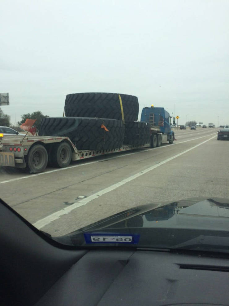 daily picdump weekend edition 50 pics 17.html - 50 HD Photos | Premium Gallery 2019