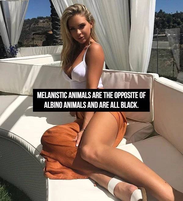 Facts Go Best With Beauties