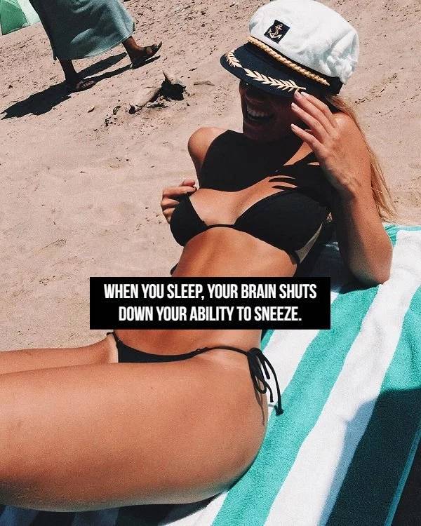 Facts Go Best With Beauties