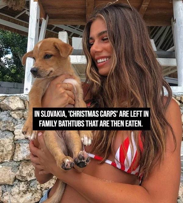 Facts Go Best With Beauties