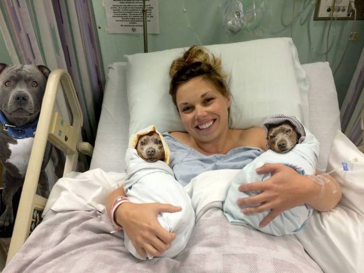 page,7,top 750 daily pics of the year 2019.html - 1 HD Photos | Premium Gallery 2019