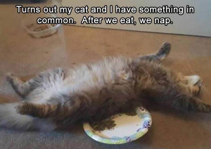 funny picdump 52 pics 24.html - 52 HD Photos | Premium Gallery 2019