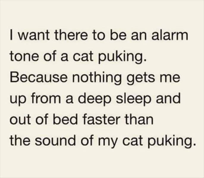 funny picdump 50 pics 3.html - 50 HD Photos | Premium Gallery 2019