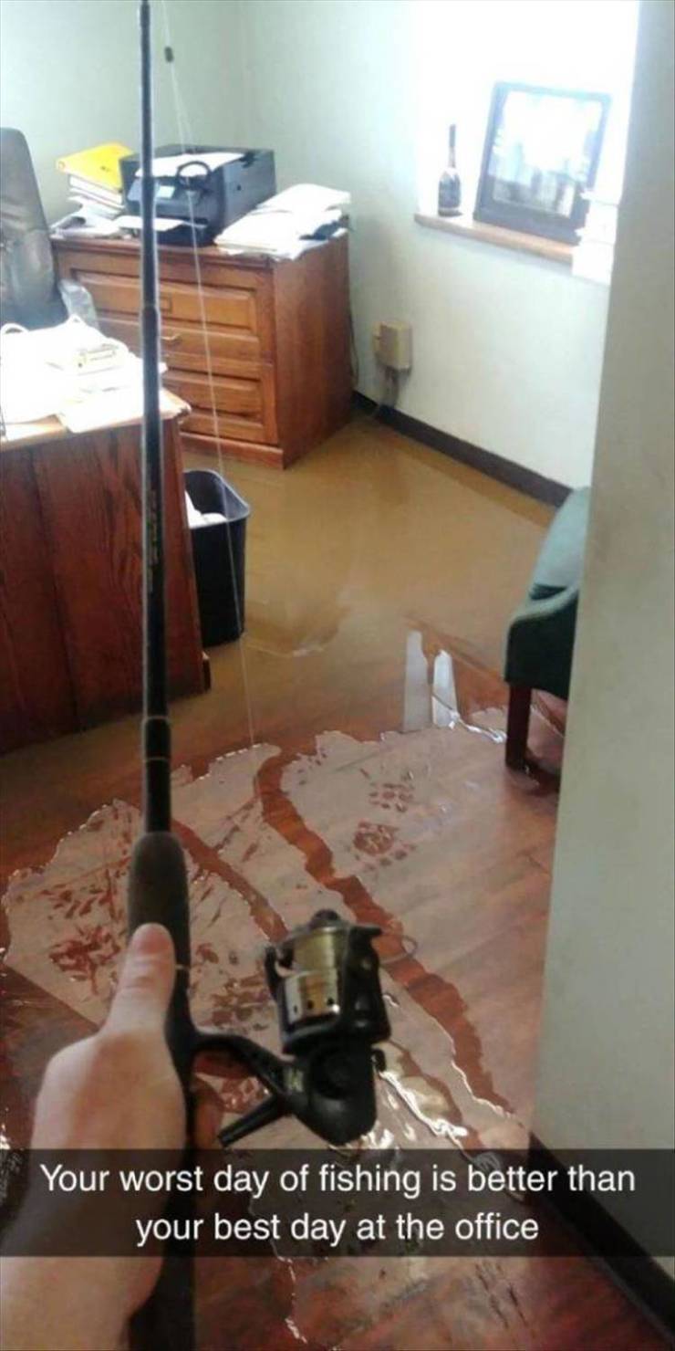 funny picdump 50 pics 3.html - 50 HD Photos | Premium Gallery 2019