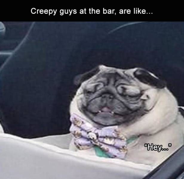 funny picdump 54 pics 25.html - 54 HD Photos | Premium Gallery 2019