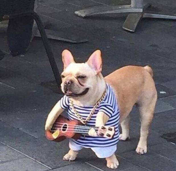 funny picdump 54 pics 25.html - 54 HD Photos | Premium Gallery 2019